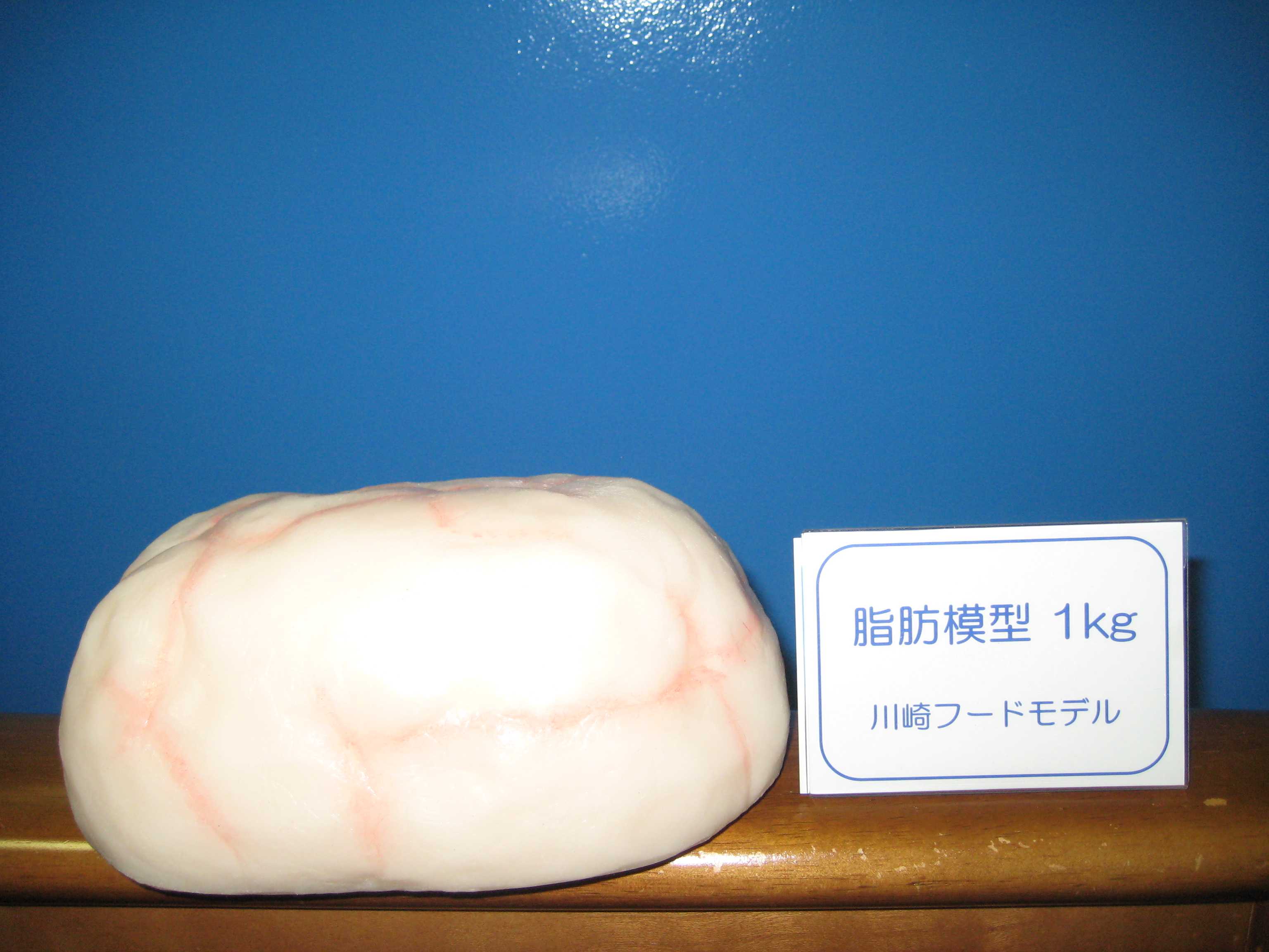 川崎フードモデル 体脂肪模型 1kg 川崎フードモデル 脂肪模型 体脂肪